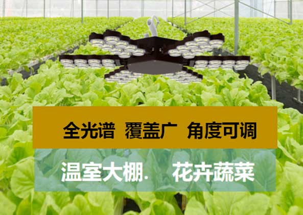 LED顯示屏,LED顯示屏廠(chǎng)家,LED照明廠(chǎng)家,照明解決方案,顯示屏解決方案